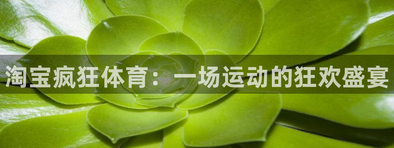 淘宝疯狂体育：一场运动的狂欢盛宴