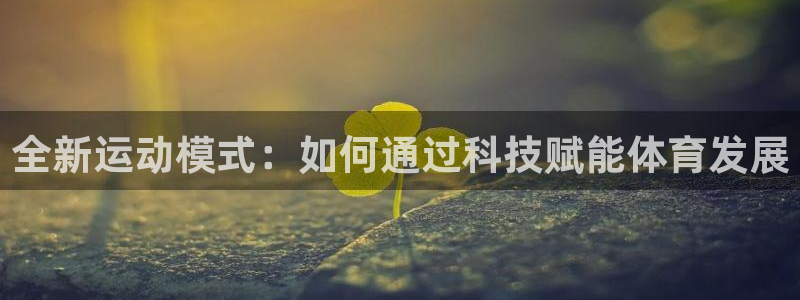全新运动模式：如何通过科技赋能体育发展